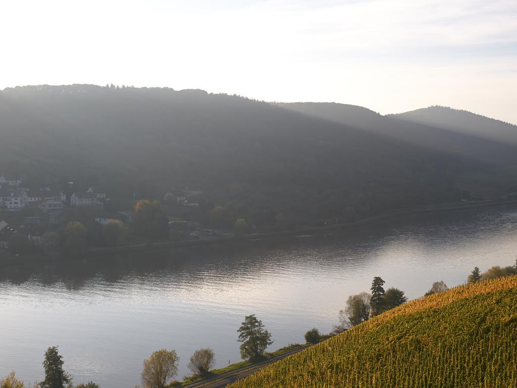 Wein- Und Landhaus S A Pruem Bernkastel-Kues Exterior photo